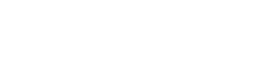 EauSécure, Service de surveillants + sauveteurs